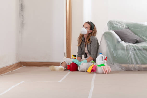 Reliable Mold Remediation contractor in Danville, KY by 24 Hour Mold Removal