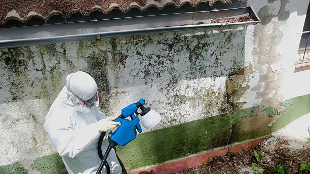 Top rated local Mold Remediation specialists in Danville, KY